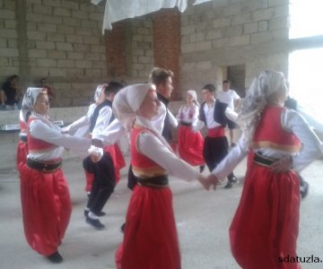 danmzdragunja008