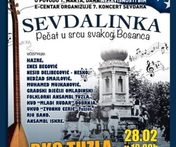 plakatsev2013