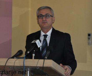 dzananovsde211