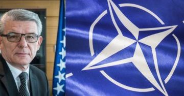 sefik-nato-400x189