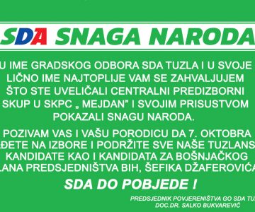 predizborna
